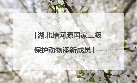 湖北堵河源国家二级保护动物添新成员